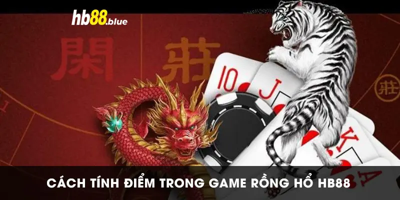 Cách tính điểm rồng hổ HB88